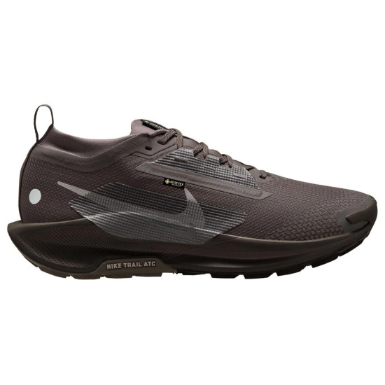 Nike Pegasus Trail 5 Gore-Tex